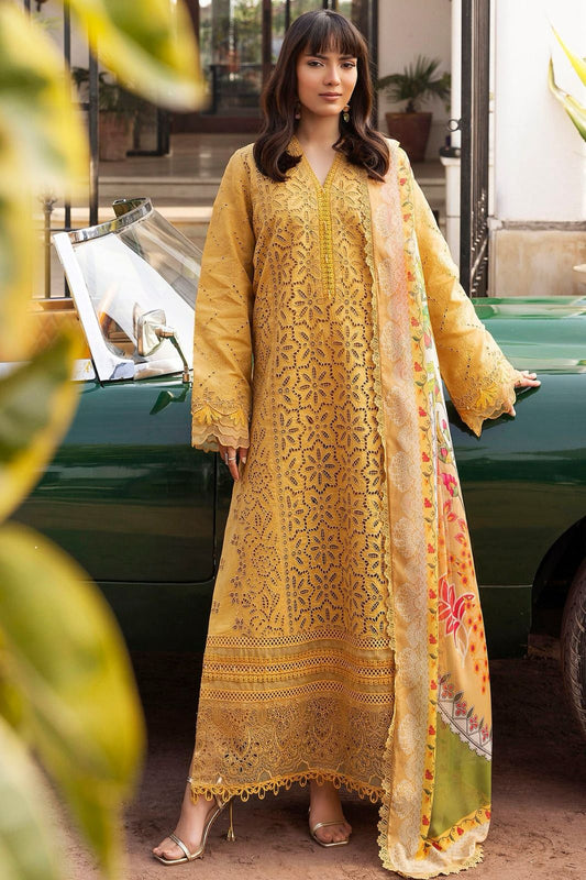 Safwa Collection